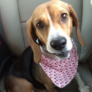 Meet your Posher, Shelli